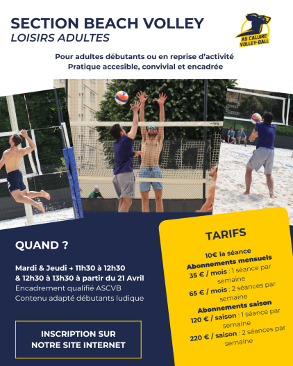 SECTION BEACH VOLLEY LOISIRS
