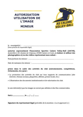 Autorisation de l'Utilisation de l'Image - Mineur